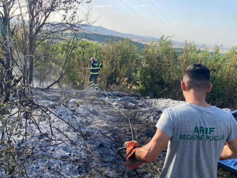 operatori arif e vigili del fuoco al lavoro per domare l'incendio a Minervino Murge