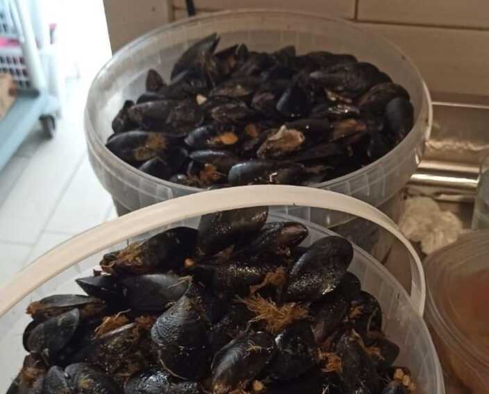 manfredonia guardia costiera