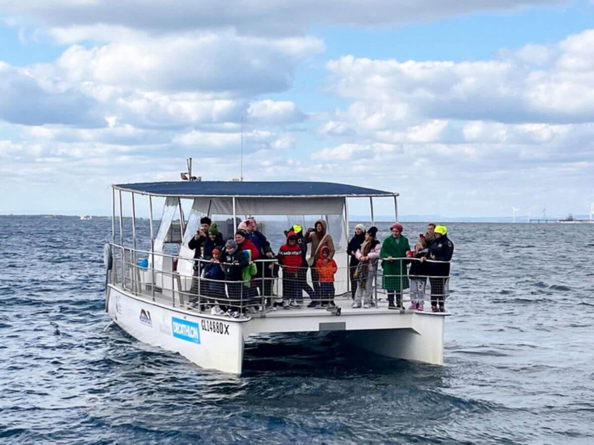 catamarano jonian dolphin conservation taranto
