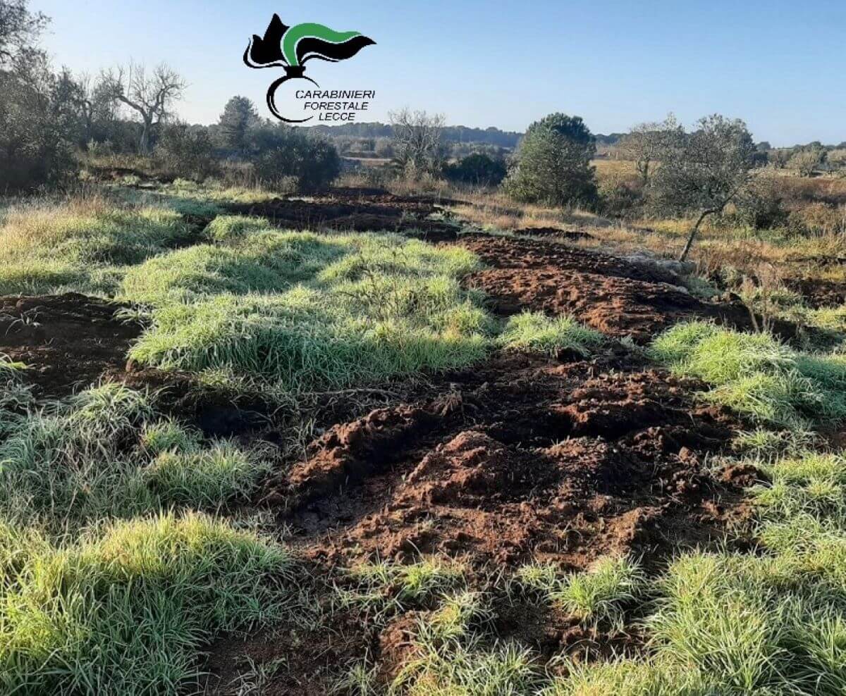 sansa terreno agricolo maglie