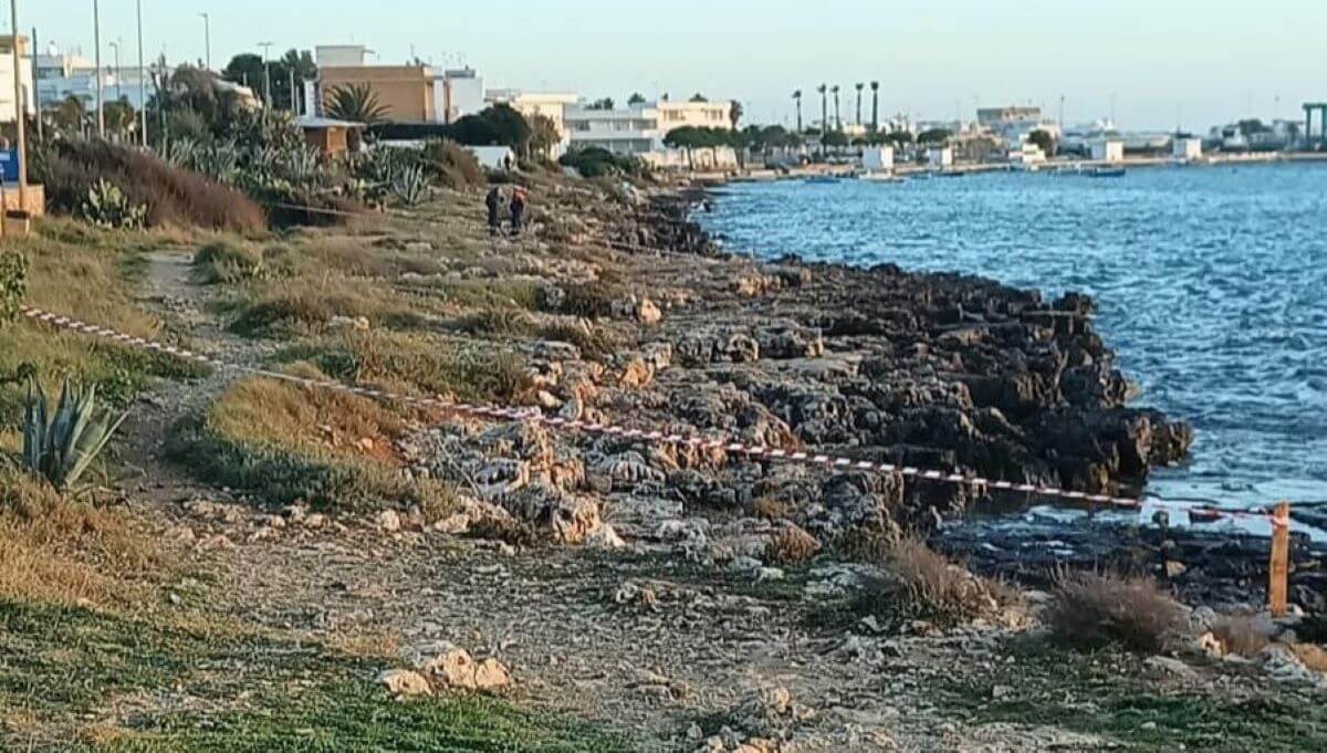sversamento olii esausti porto cesareo