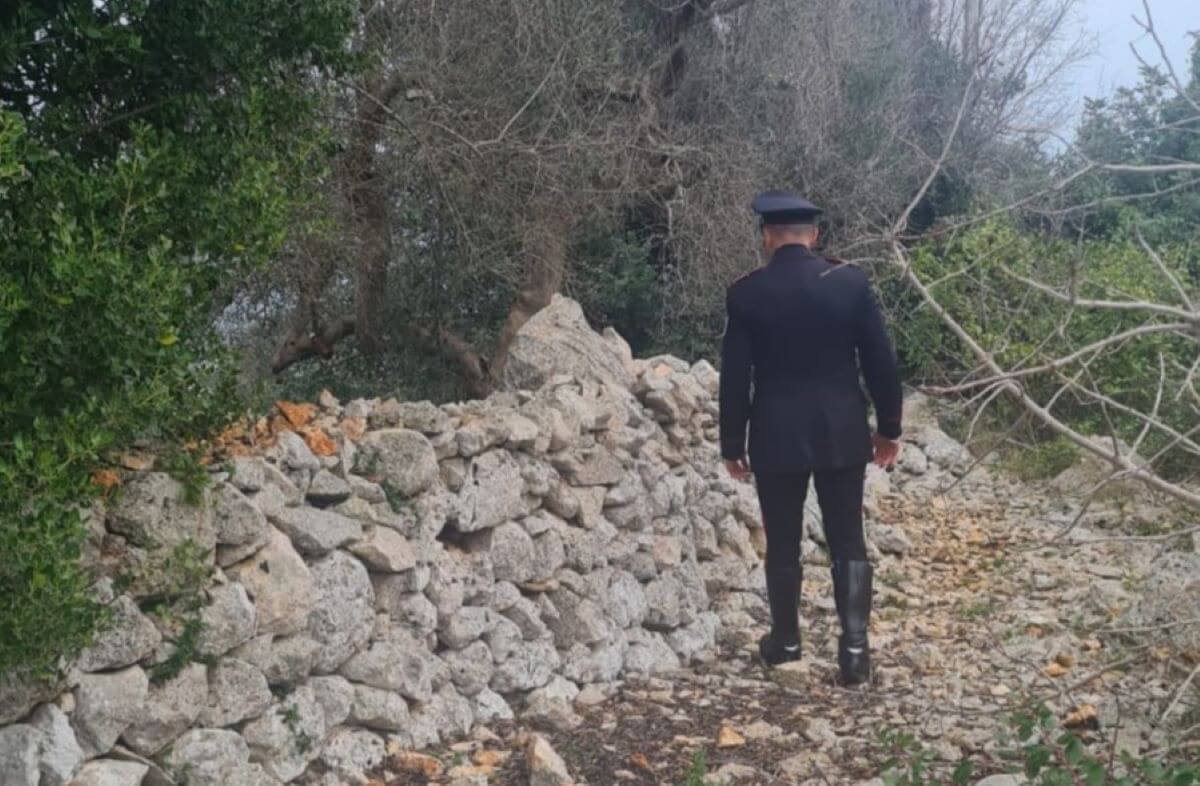 cocaina in campagna tricase