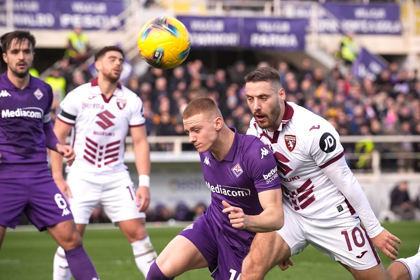 fiorentina torino