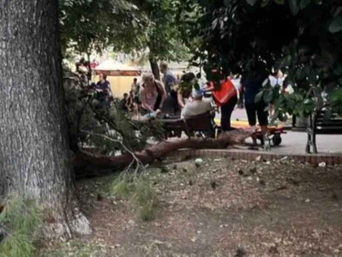 ramo cade su una panchina a manfredonia