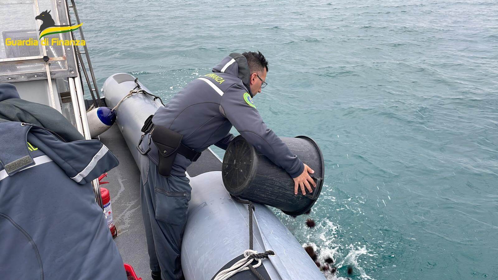 guardia di finanza ricci di mare