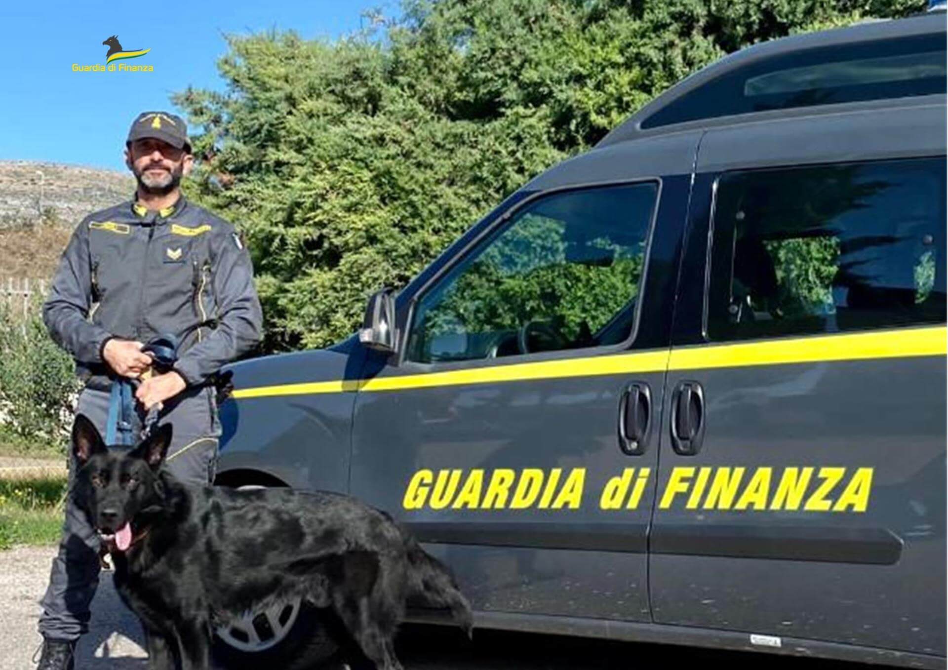 unità cinofile guardia di finanza