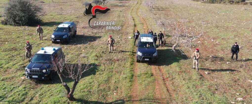 clan lamedola cantanna