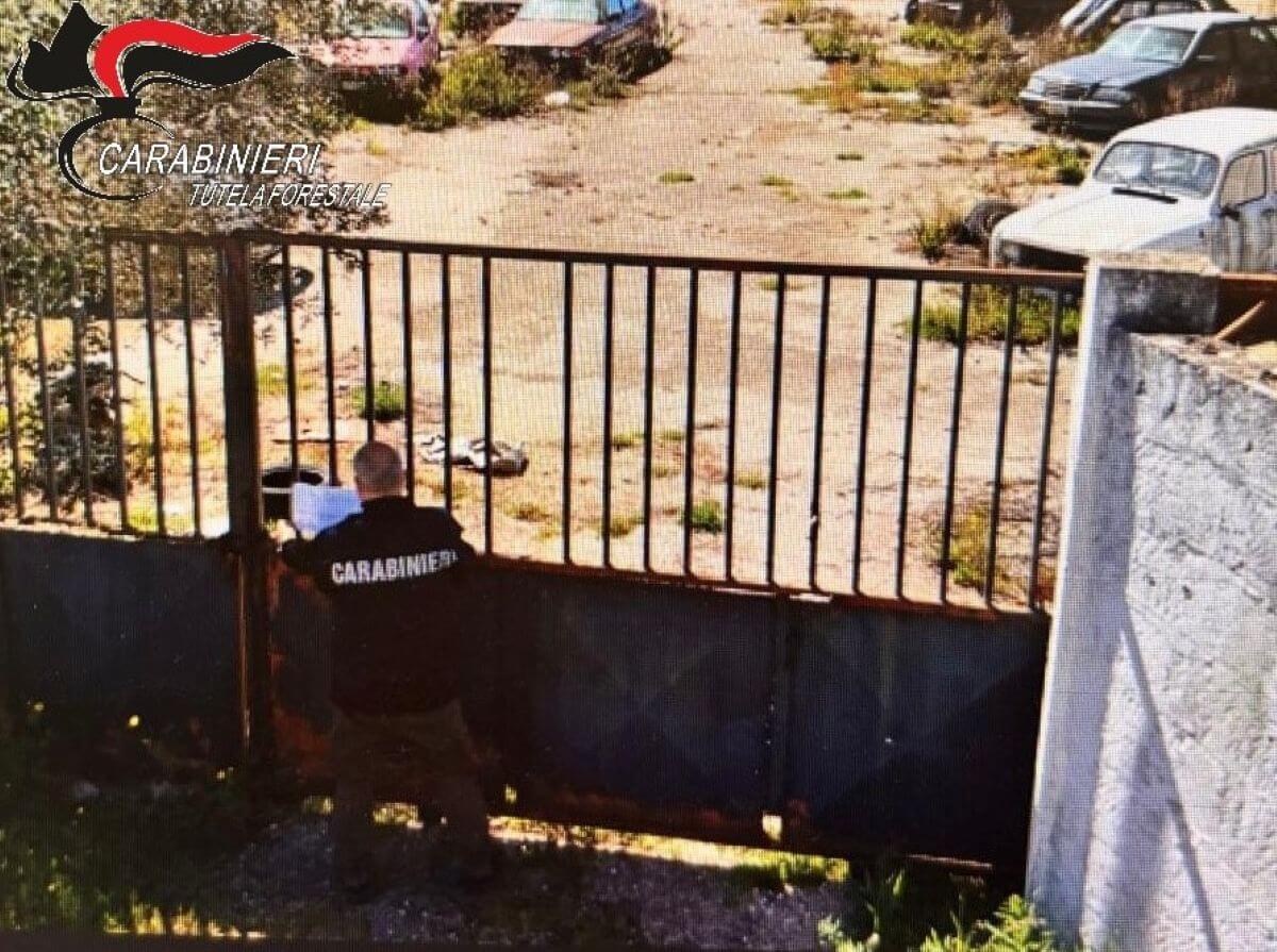 auto cannibalizzate sava