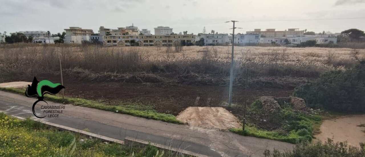 parcheggio abusivo baia verde gallipoli