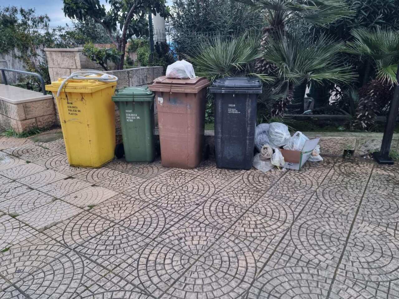 bidoni raccolta differenziata