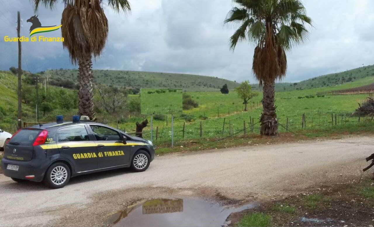 guardia di finanza minervino murge