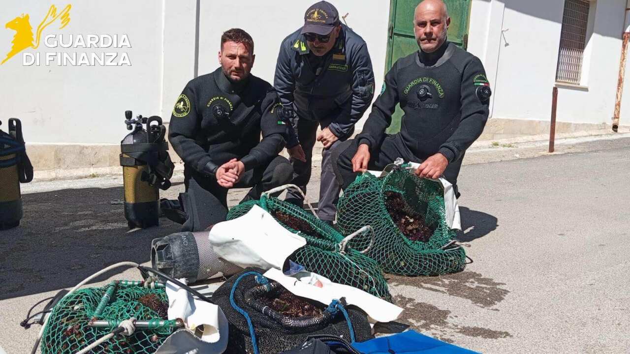 sequestro guardia di finanza