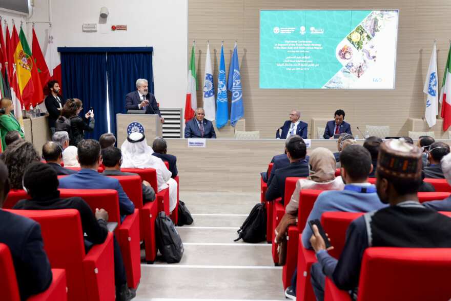 conferenza ciheam bari