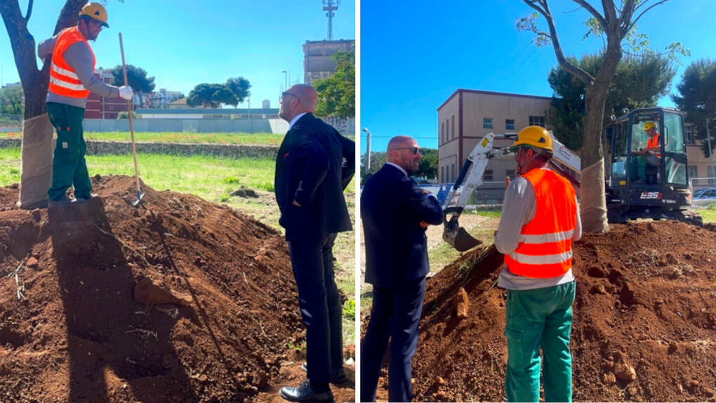 albero parco della rinascita bari
