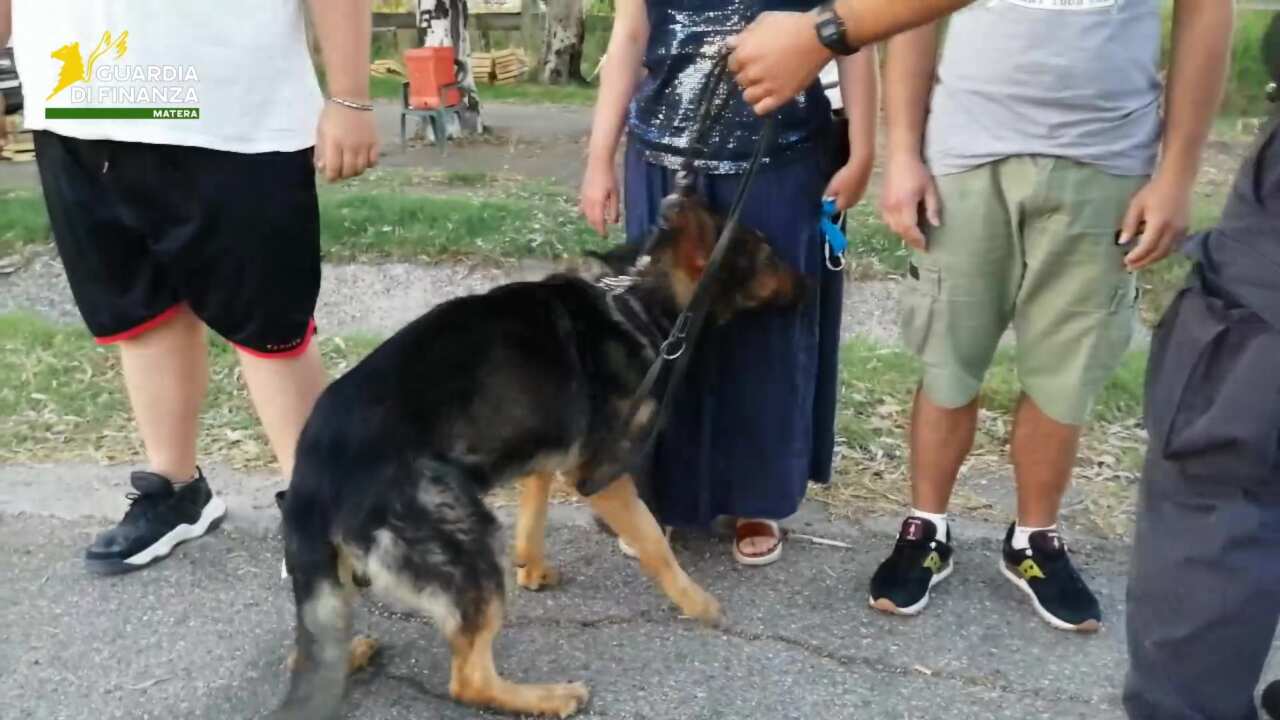 cinofili guardia di finanza matera