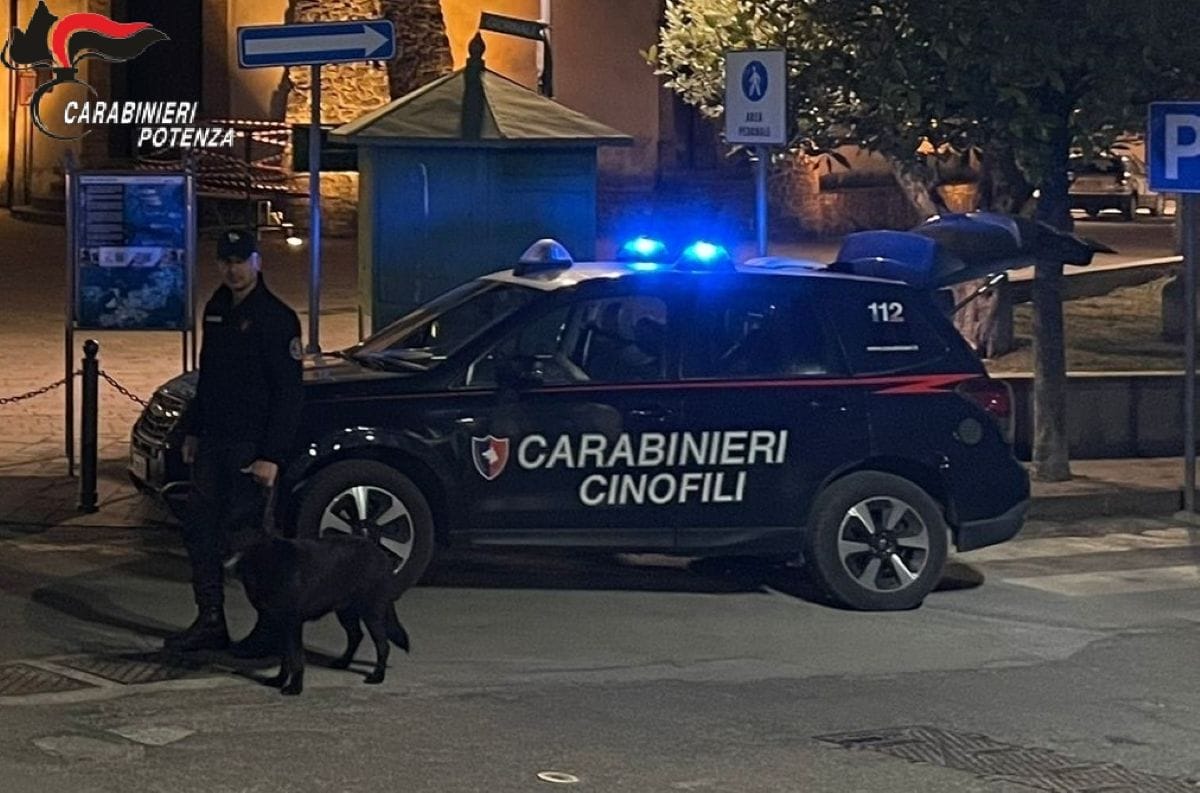 carabinieri potenza