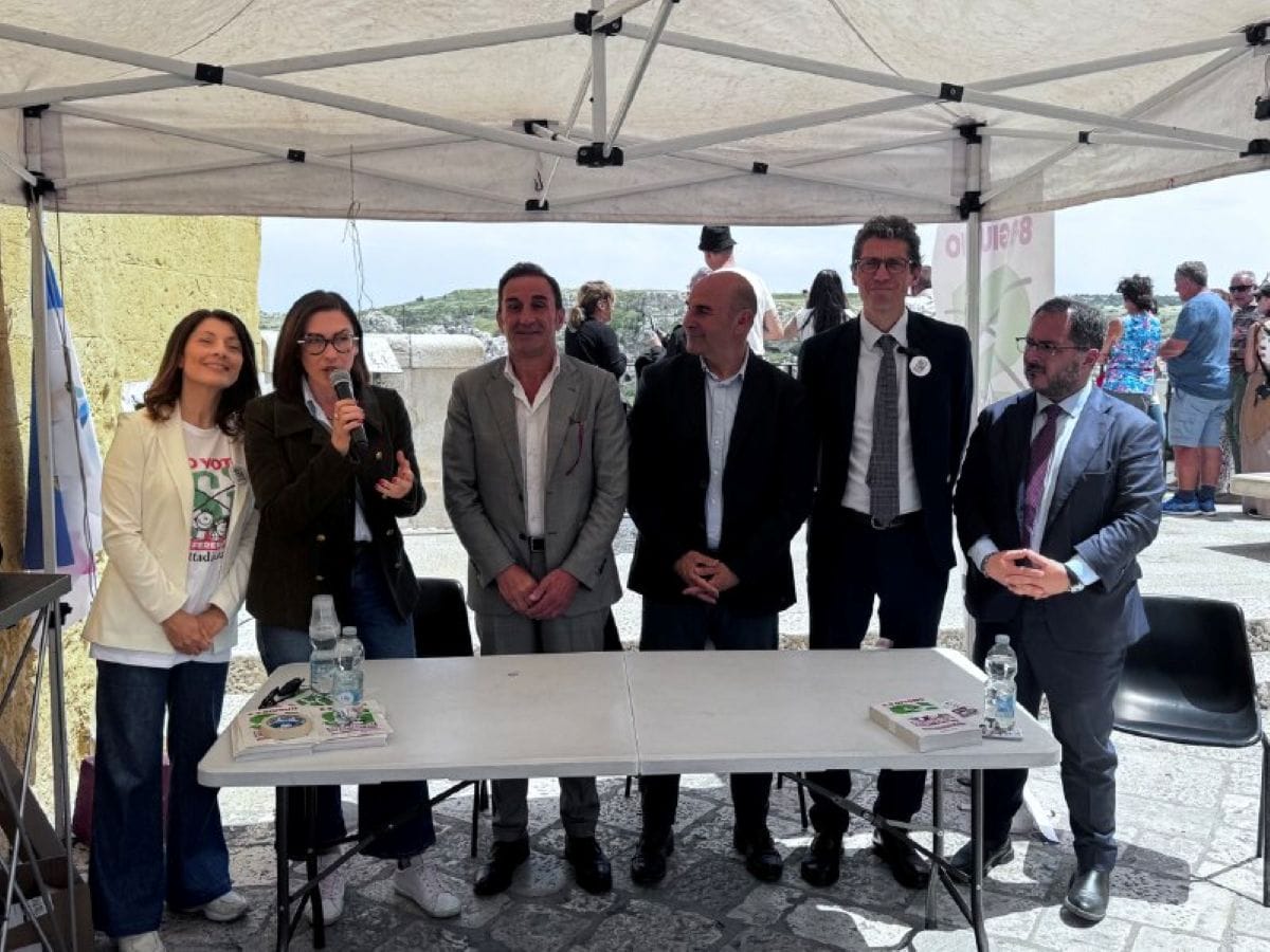 cifarelli socialisti