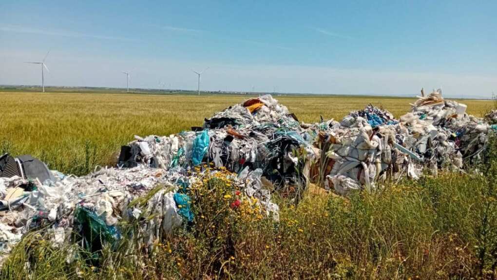 rifiuti campagne foggia