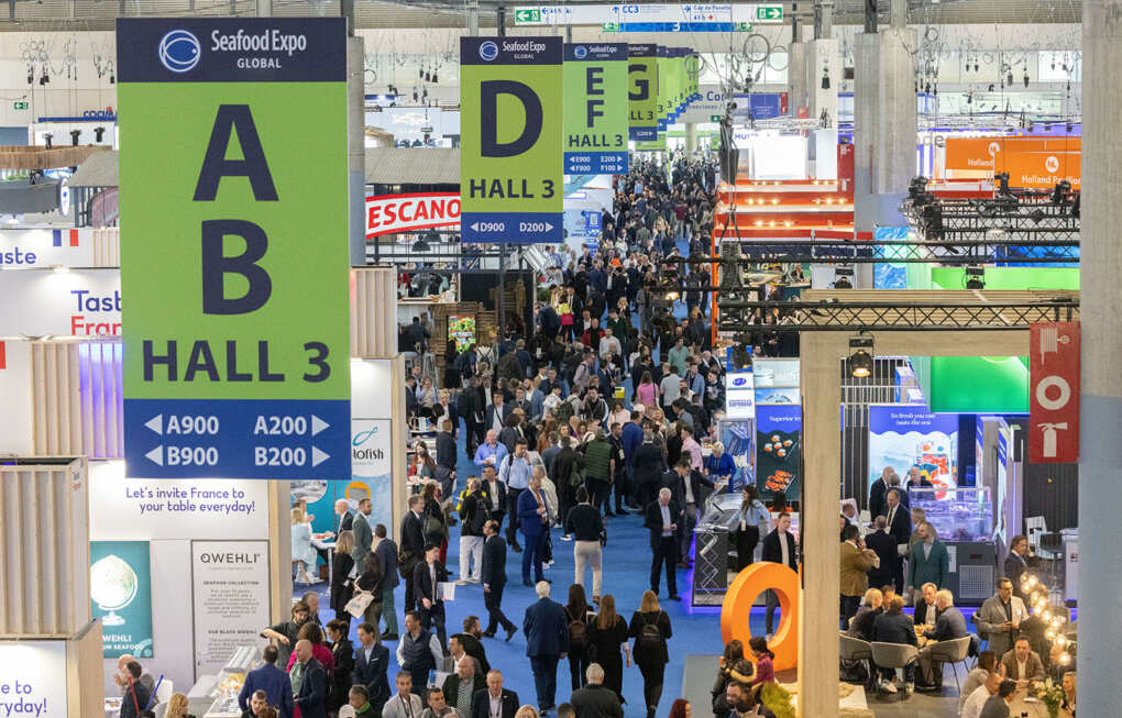 seafood expo global