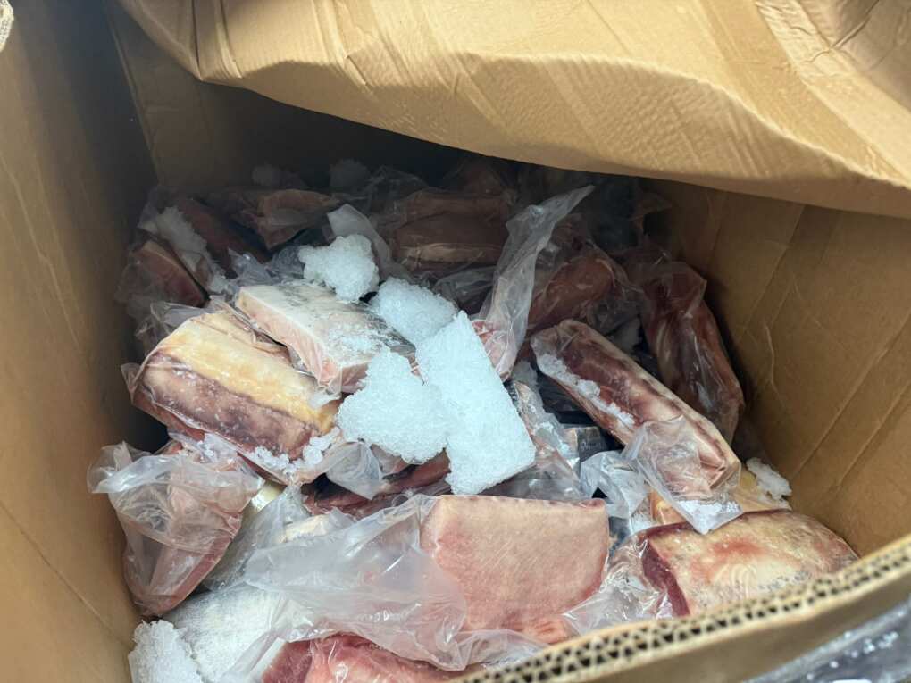 sequestro pesce spada monopoli