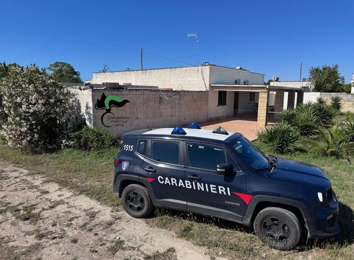 abusi edilizi torre specchia ruggeri