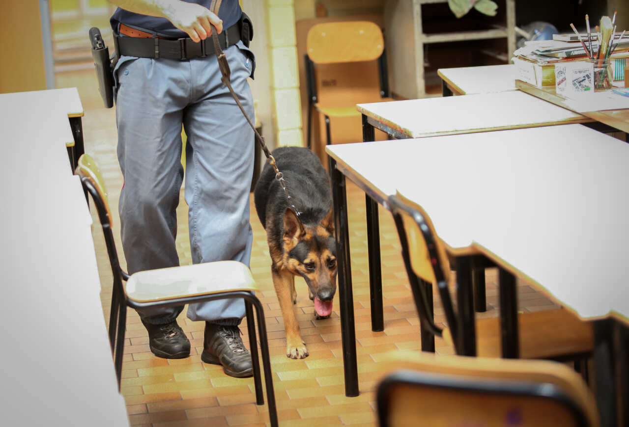 guardia di finanza scuola