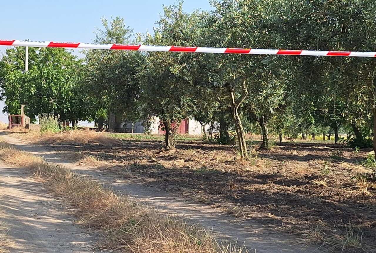 casolare torremaggiore