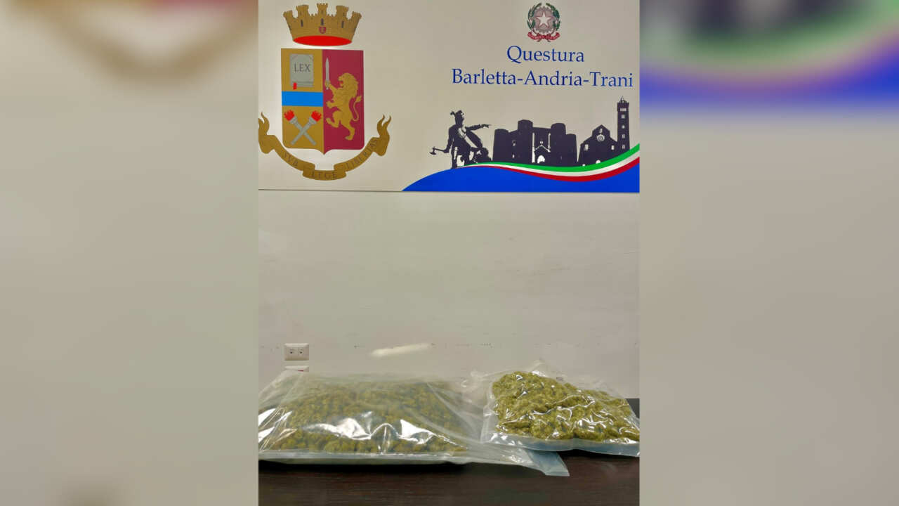 marijuana barletta