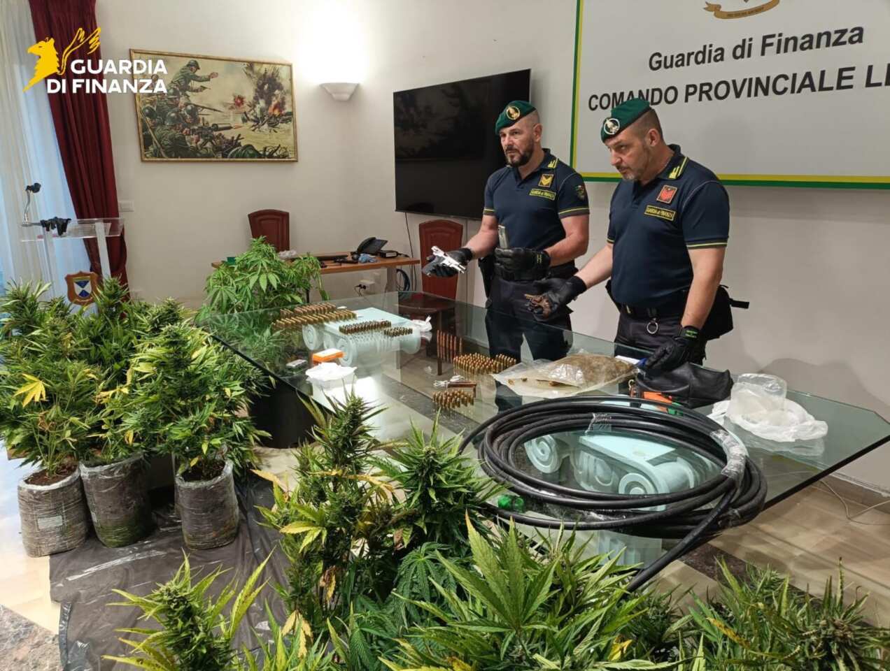 piantagione marijuana lecce