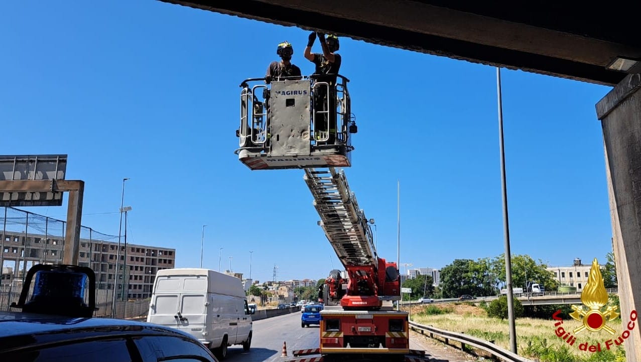 vigili del fuoco statale 100 bari