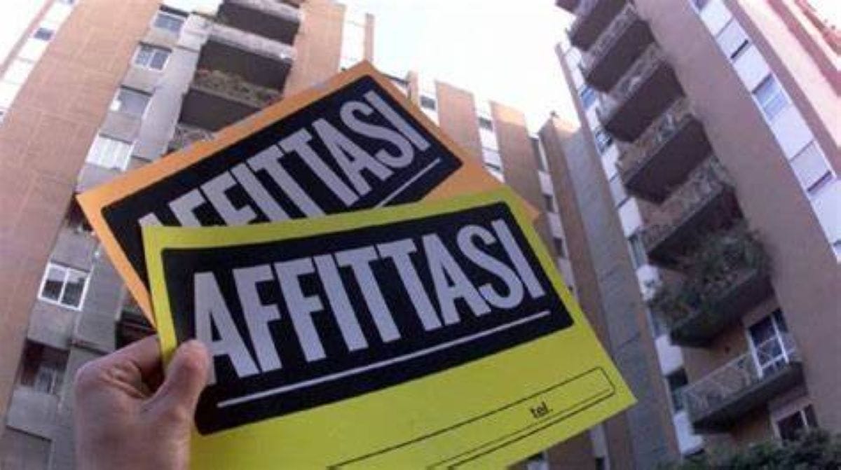 affittasi