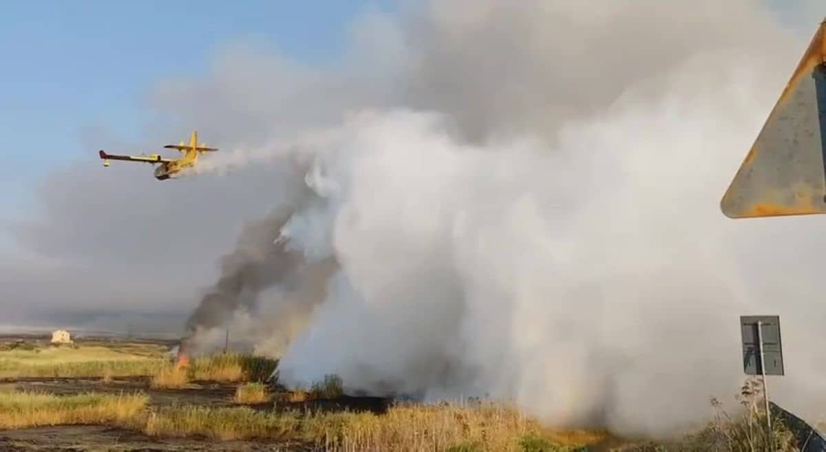 canadair manfredonia