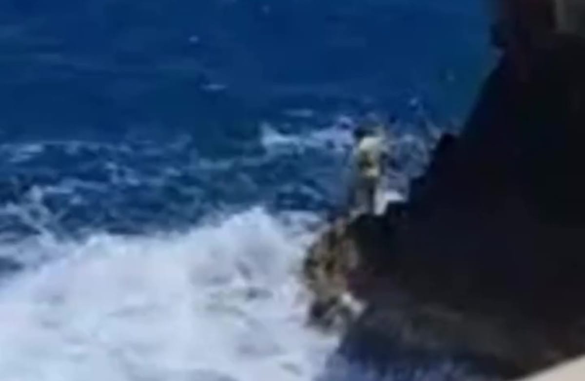 turista si tuffa monopoli