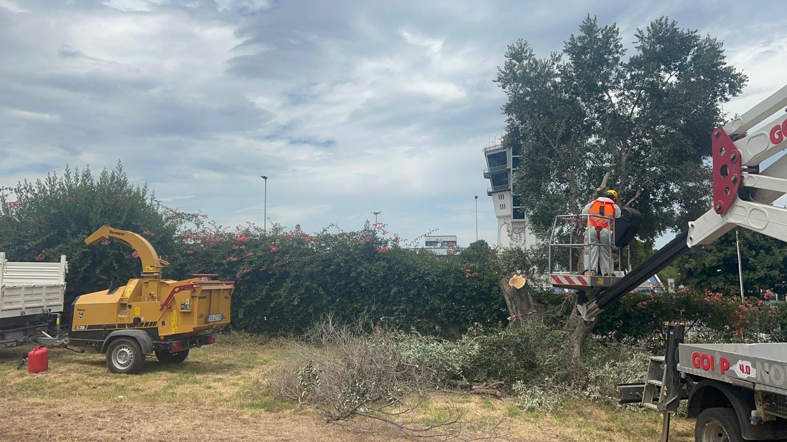 xylella aeroporto bari