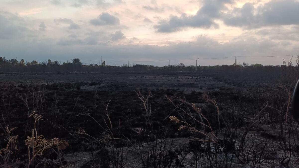 incendio spiaggiabella