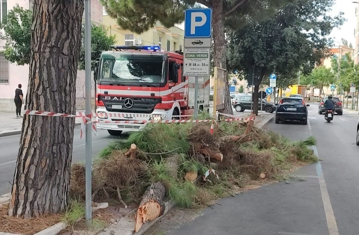 ramo rimosso brindisi