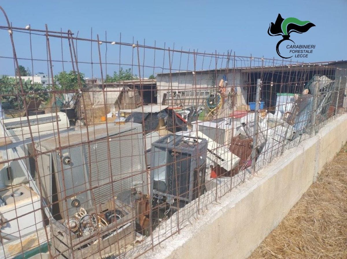 elettrodomestici tricase