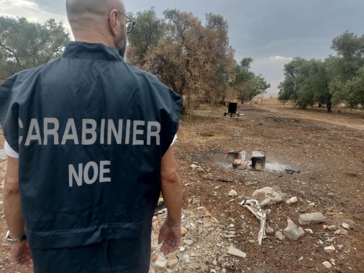 incendio rifiuti sannicandro