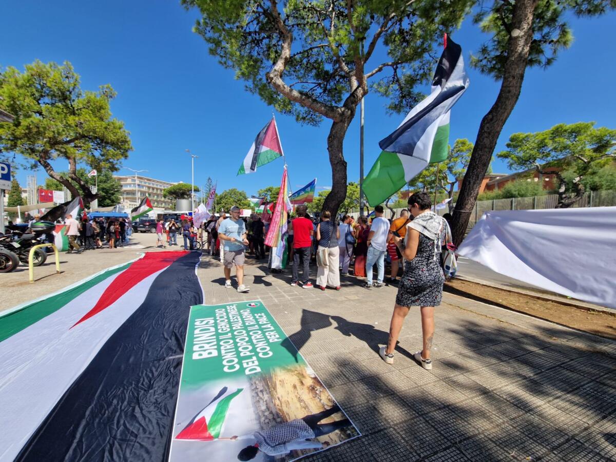 manifestanti palestina