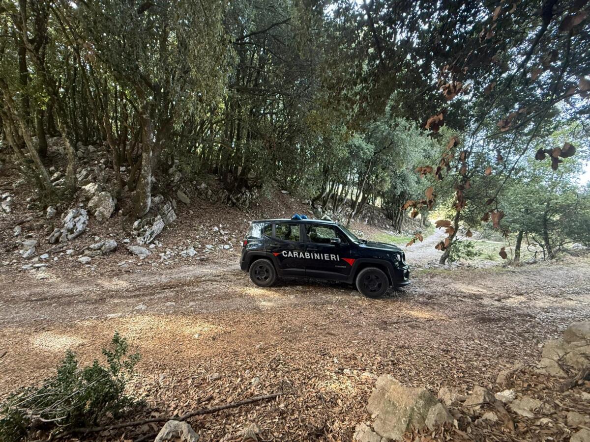 omicidio monte sant'angelo