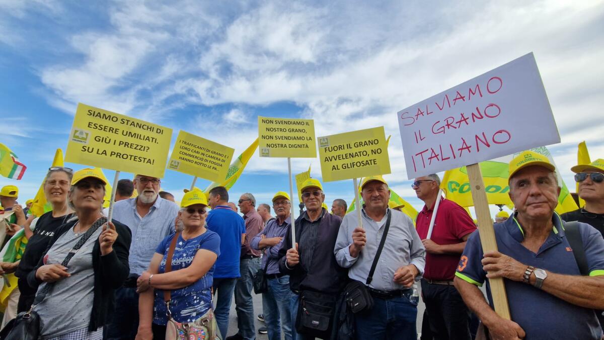 protesta agricoltori grano