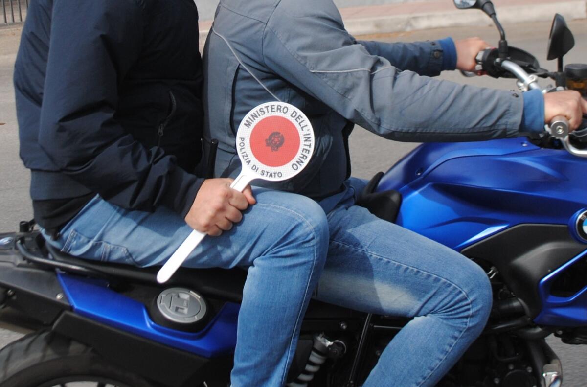 falchi squadra mobile