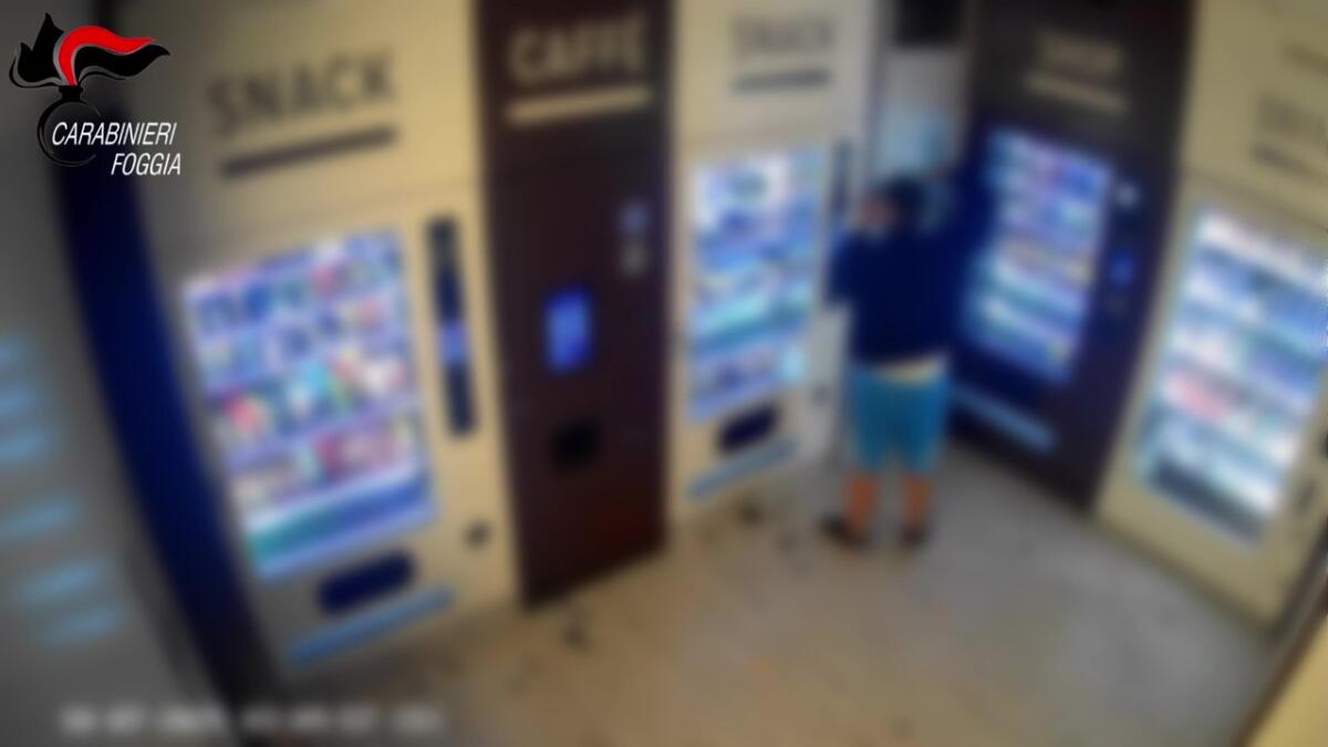 furto distributore torremaggiore