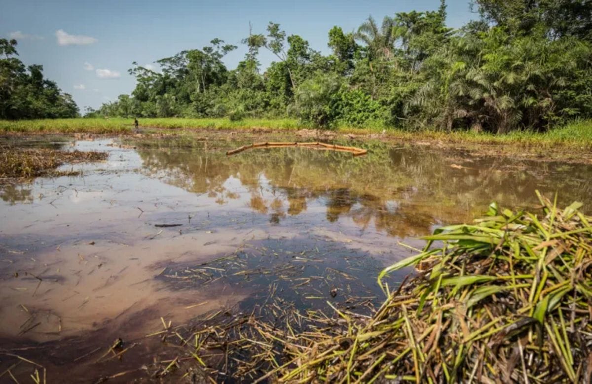 inquinamento corsi d'acqua