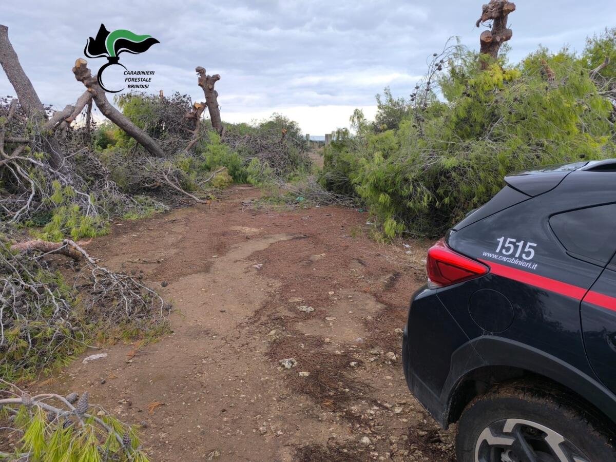 bosco gorgognolo ostuni