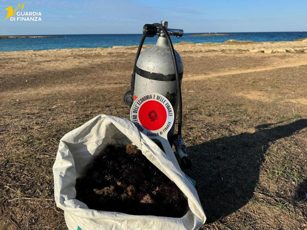 sequestro ricci di mare nardò