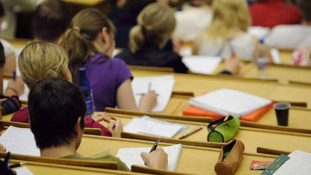 studenti università