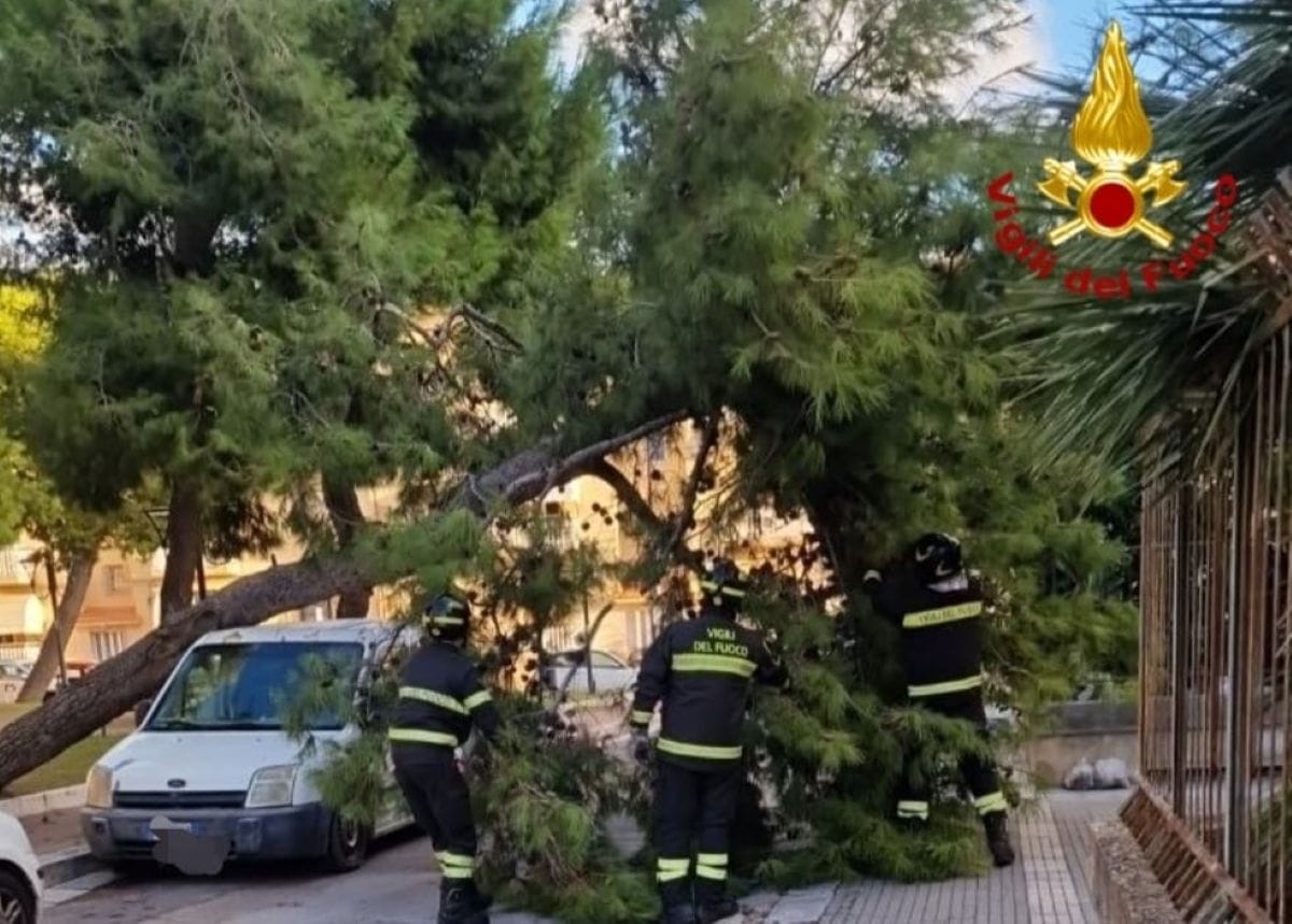 vigili del fuoco mesagne