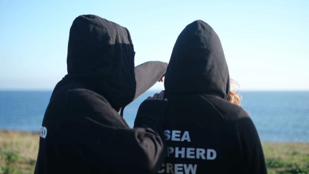 sea shepherd