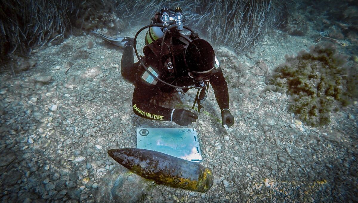 ordigni bellici molfetta